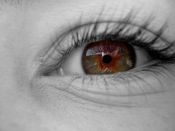 Eye